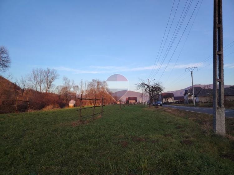 Teren Construcții intravilan de 2619 mp, în Bârsana