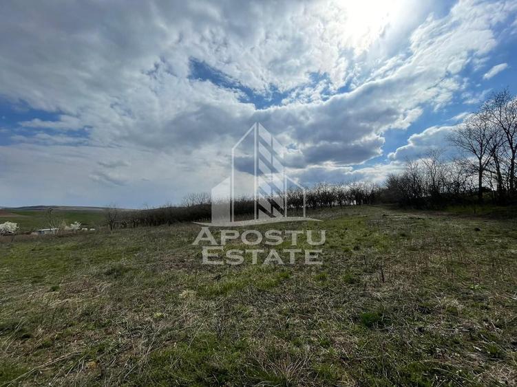 Teren Construcții intravilan de 2896 mp, în Herneacova