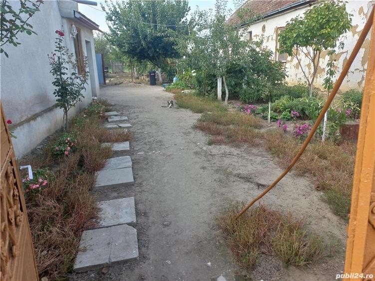Casă cu 3 camere în Gaiu Mic