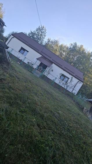 Casă cu 2 camere în Șinteu