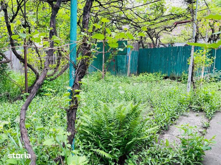 Casa cu pozitionare excelenta in zona Stadionului investitie sigur - 2