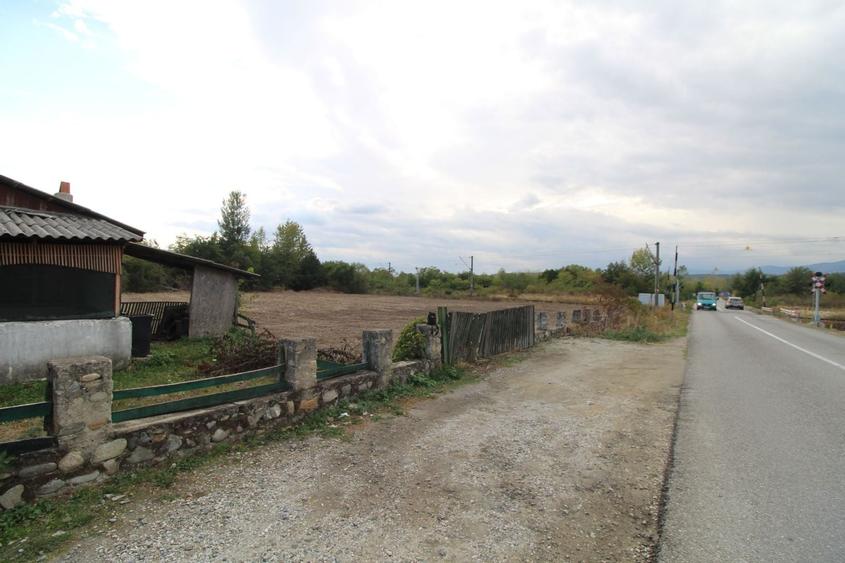 Teren Construcții intravilan de 3169 mp, în Tetila