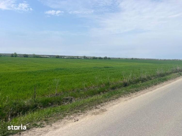 Teren de 5600 mp, în Ciocănești