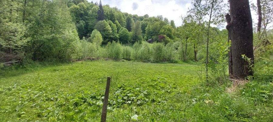 Teren de 12820 mp, în Agăș