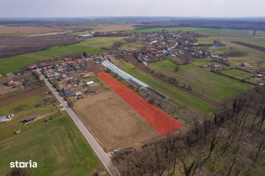 Teren de 3876 mp, în Nuci