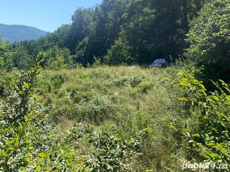 Teren de 10000 mp, în Alexandru cel Bun