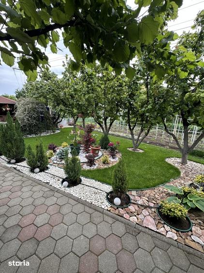 Casă cu Teren 1200 Mp în Central