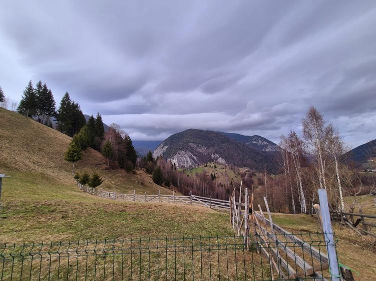 Teren agricol extravilan de 13570 mp, în Peștera