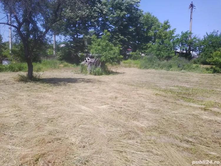 Teren de 4000 mp, în Copăceni