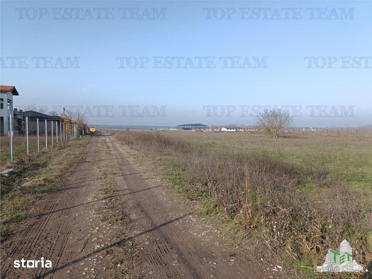 Teren de 8050 mp, în Gruiu