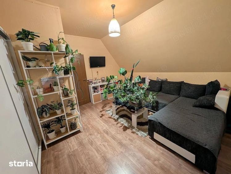 Apartament 2 camere DECOMANDAT-Zona Lipovei - 4