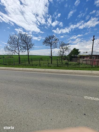 Teren de 50000 mp, în Movileni