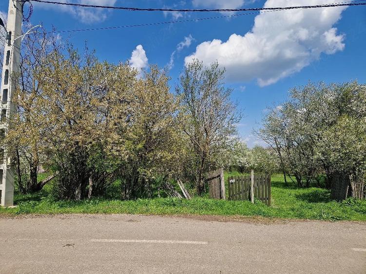 Teren de 3800 mp, în Moșteni