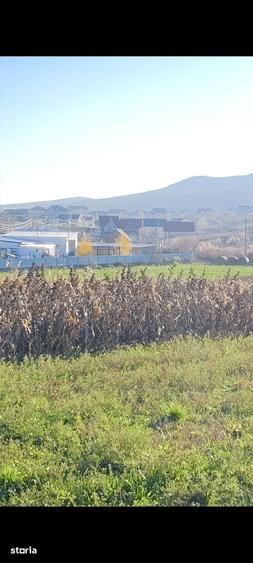 Teren de 1630 mp, în Luizi-Călugăra