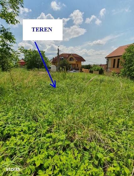 Teren de 600 mp, în Oncea