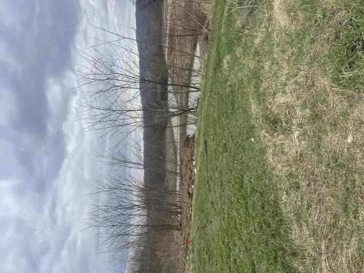 Teren de 3145 mp, în Mănăstirea Cașin