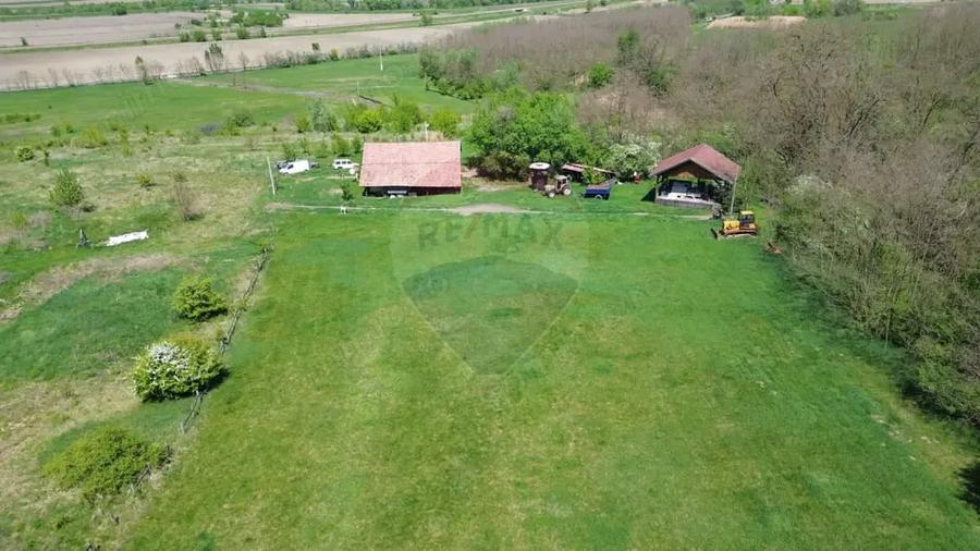 Teren de 659000 mp, în Copșa Mică