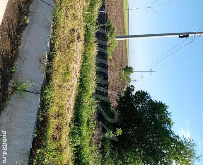 Teren de 10200 mp, în Sârbeni