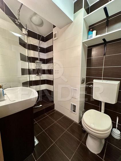 Inchiriere apartament 1 camera Centru, langa Platinia Mall/ USAMV - 5