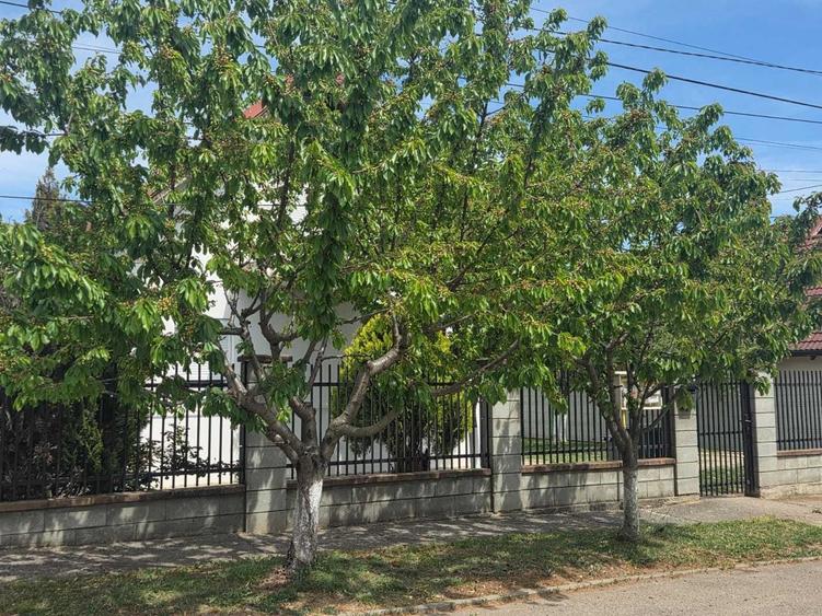 Casă cu 4 camere decomandat în Dumbrăvița