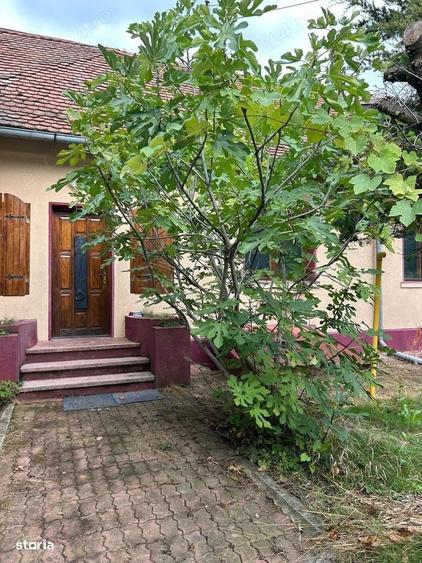 Casă cu 3 camere în Central