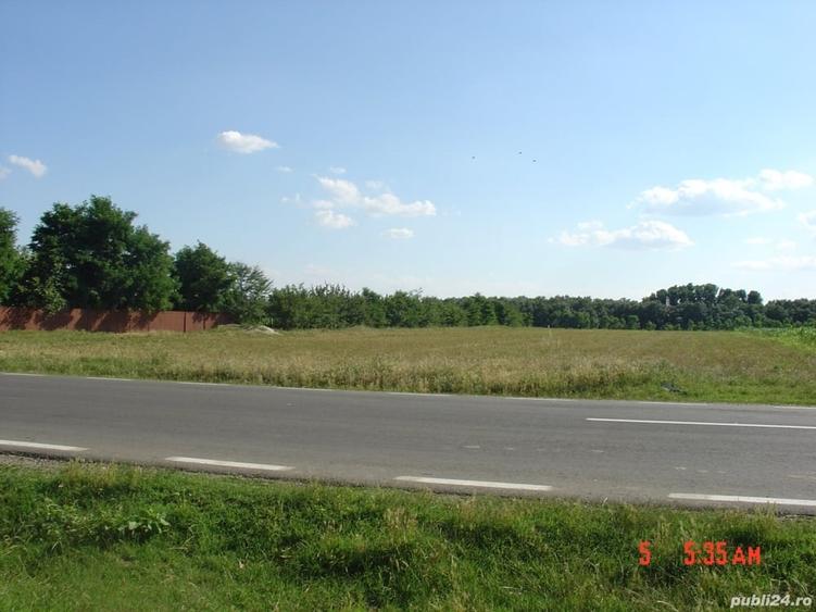 Teren de 2500 mp, în Sălcioara