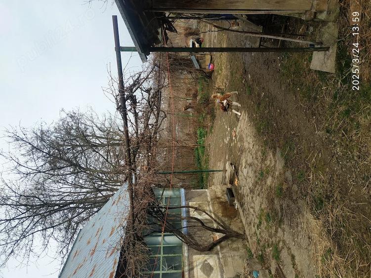 Casă cu 2 camere cu Teren 1100 Mp în Pucioasa-Sat