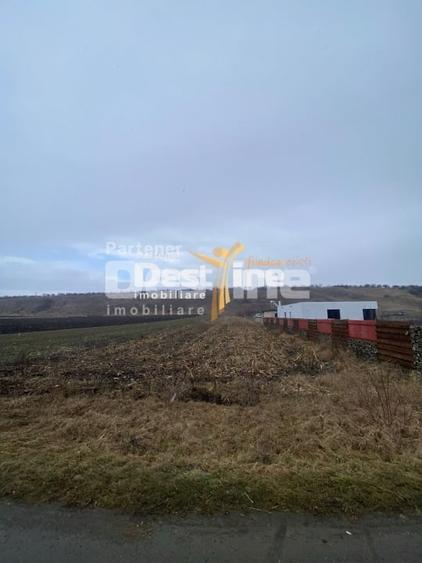 Teren Construcții intravilan de 3200 mp, în Girov