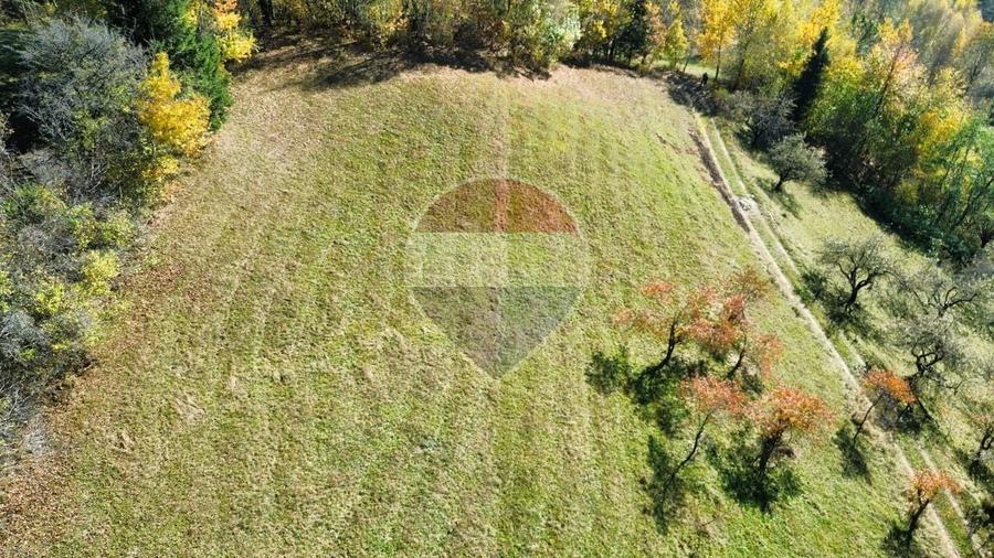 Teren agricol intravilan de 3000 mp, în Sohodol