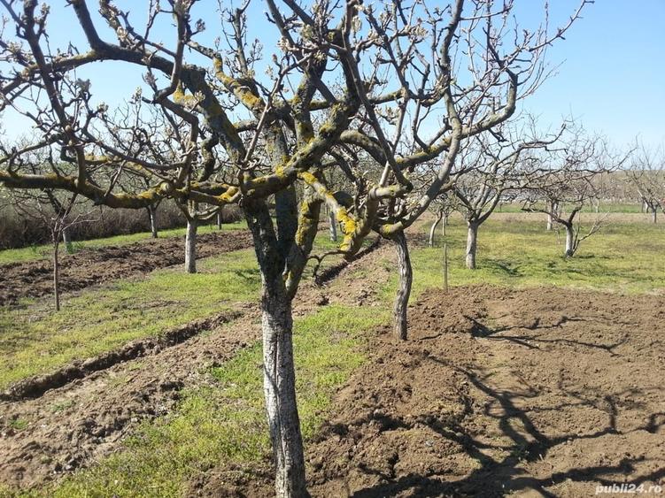 Casă cu 3 camere în Bugeac