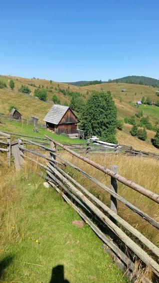 Vand teren intravilan - 5