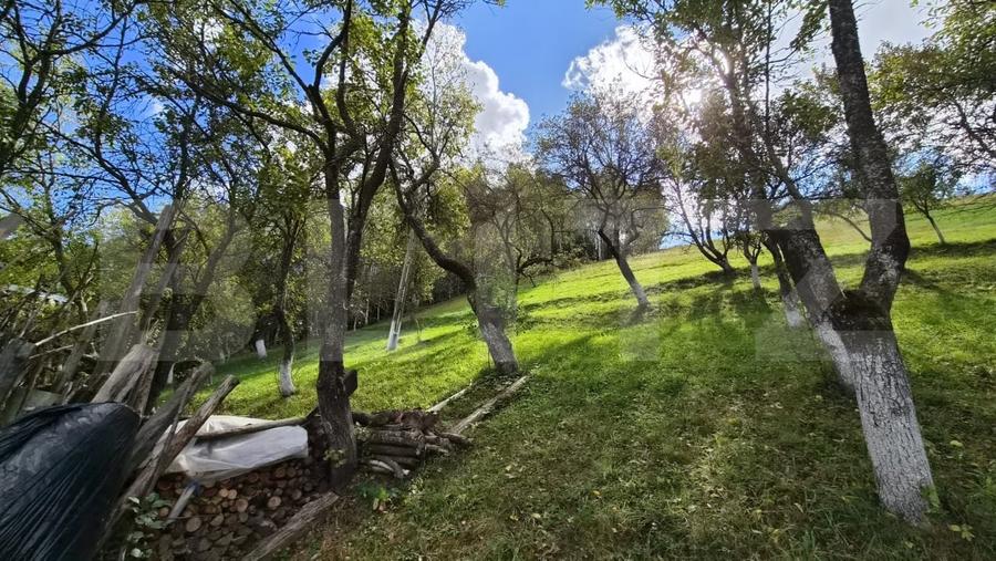 Casă individuală cu 3 camere cu Teren 23000 Mp în Poiana Mărului