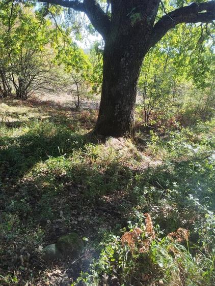 Teren de 8600 mp, în Baia de Fier