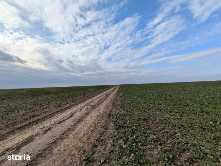 Teren de 300 mp, în Vărăști