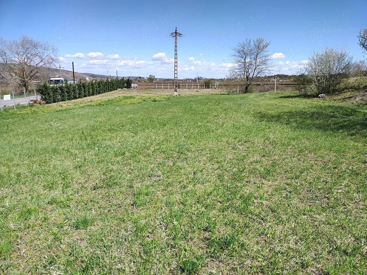 Teren de 3100 mp, în Moldovenești