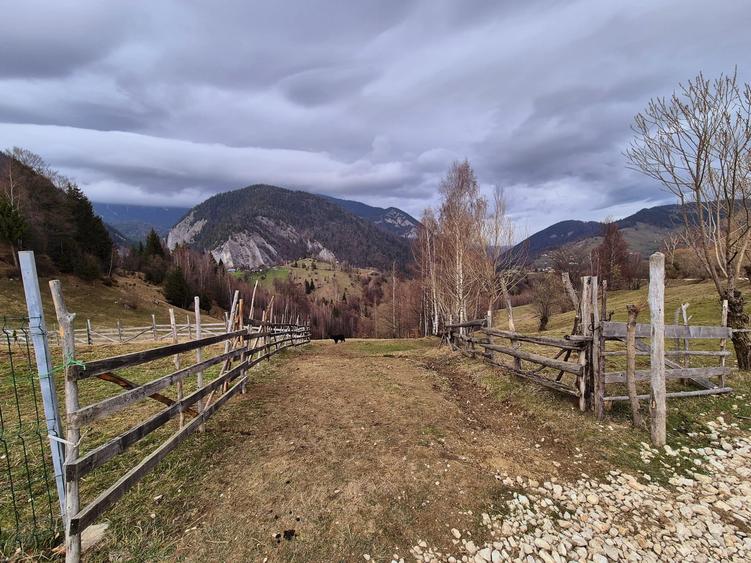 Teren agricol extravilan de 13570 mp, în Peștera