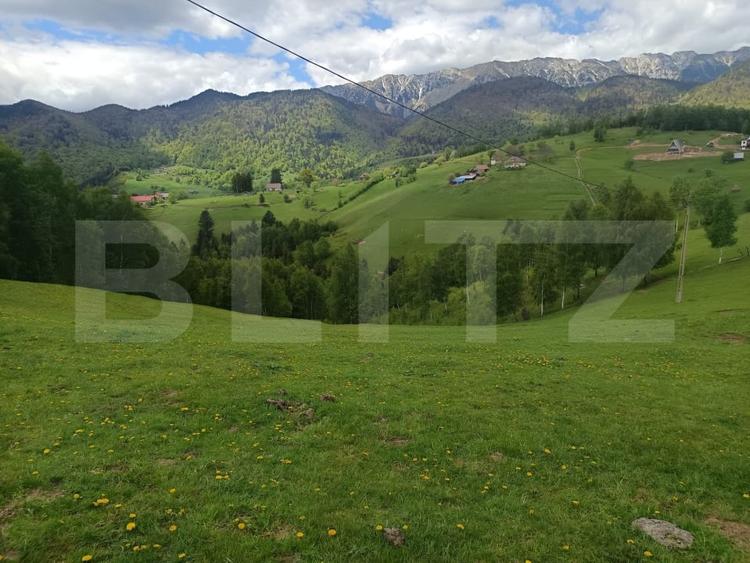 Teren Construcții intravilan de 4649 mp, în Peștera