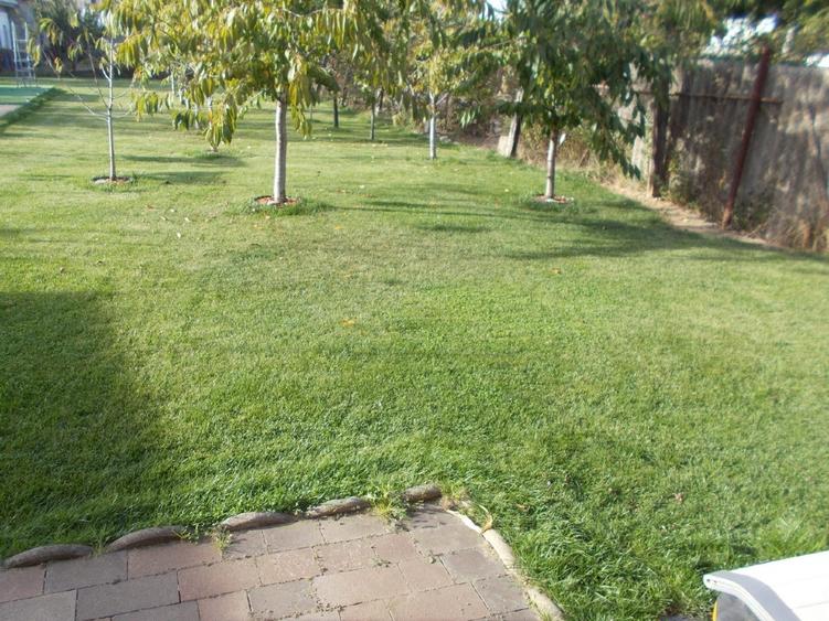 Casă individuală cu 5 camere cu Teren 1171 Mp în Freidorf