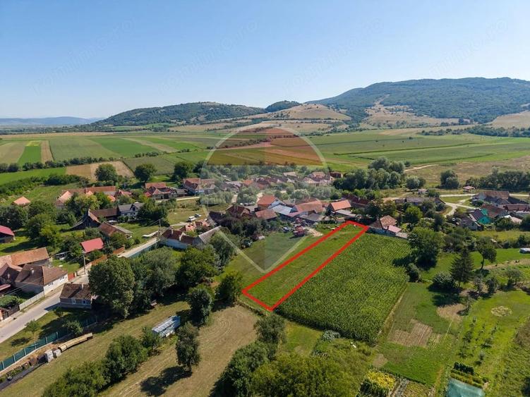 Teren de 1620 mp, în Comana