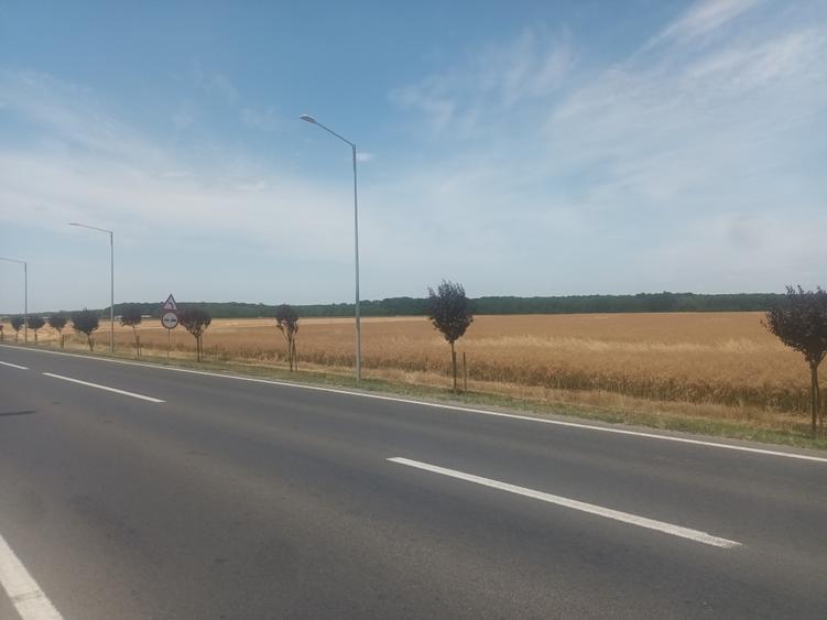 Teren Construcții intravilan de 21500 mp, în Brănești