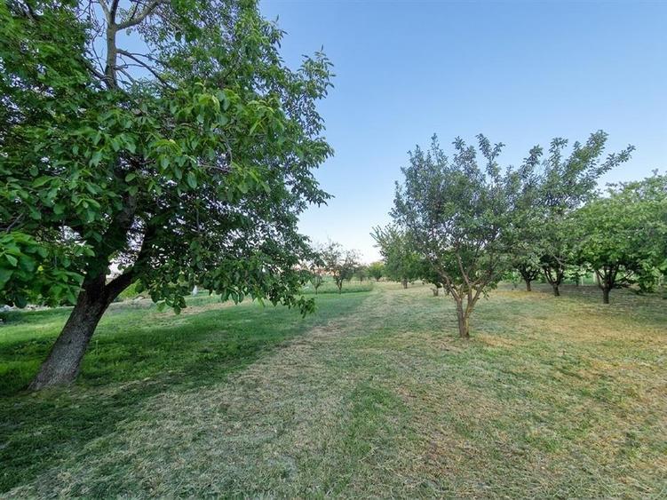 Casă cu 4 camere cu Teren 2700 Mp în Girișu de Criș