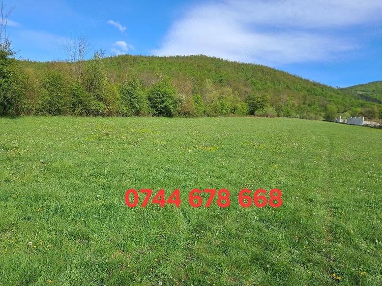 Teren de 9260 mp, în Remetea