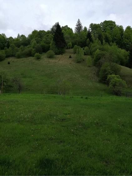 Teren de 3860 mp, în Podu Dâmboviței