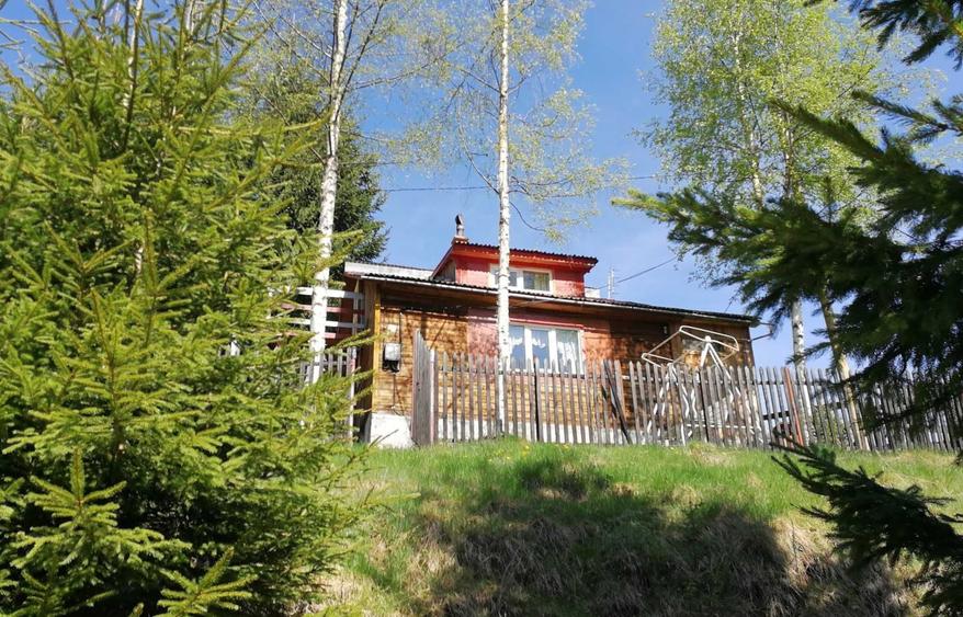 Casă cu 3 camere în Muntele Băișorii