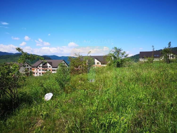 Teren Construcții intravilan de 650 mp, în Calea Romanului