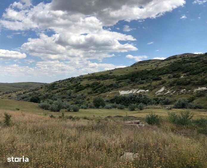 Teren de 500000 mp, în Gura Vadului