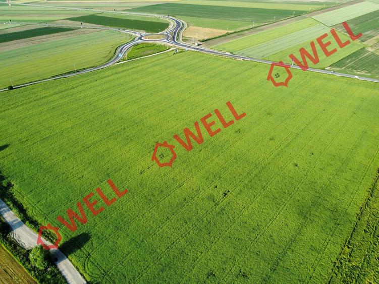 Teren agricol extravilan de 45000 mp, în Chichiș