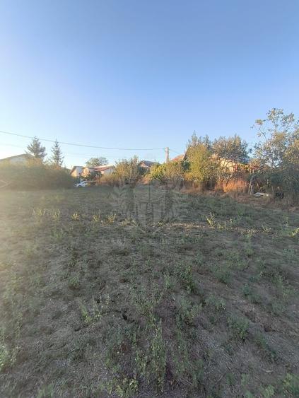 Teren Construcții intravilan de 3017 mp, în Plopu