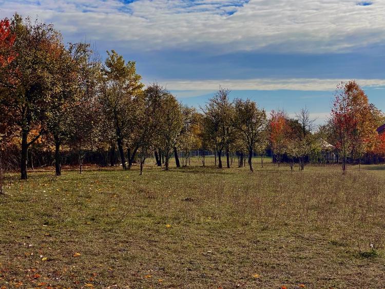 Teren Construcții intravilan de 1559 mp, în Brebu Mânăstirei