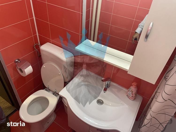 Apartament 2 Camere P-ta Victoriei Bucuresti - 12